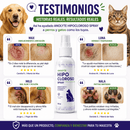 Anolyte Hipocloroso Spray Premium™ | Adiós a la Picazón, Hongos y Mal Olor en Solo Horas para Perros y Gatos